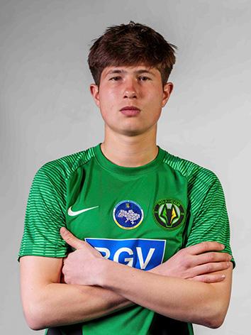 Mykola Havrysh