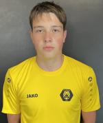 Romanenko Vitalii
