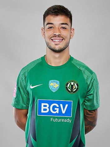 Joao Victor Dallstella Vialle