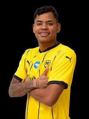 Sebastian Alejandro Castillo Perez