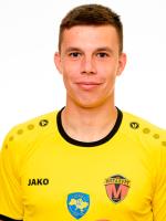 Nikolaienko Hordii